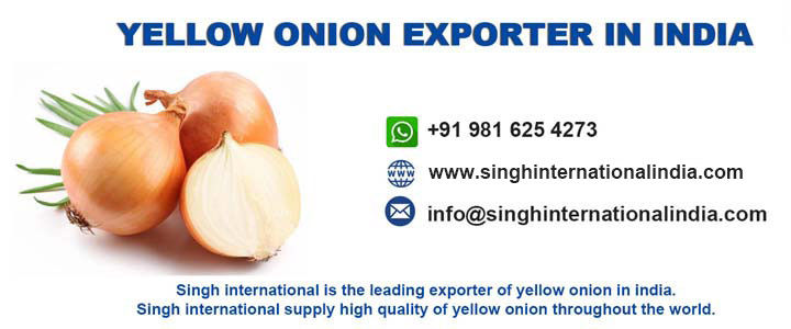 Yellow Onion exporter in India
